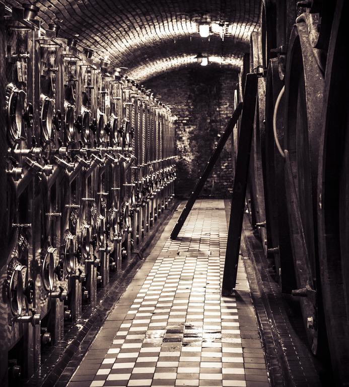 Penzion Vino Hruska Blatnička Buitenkant foto